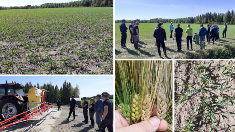 Biotiitin käyttö: Tehosta kauneutta ja hyvinvointia tehokkaasti!