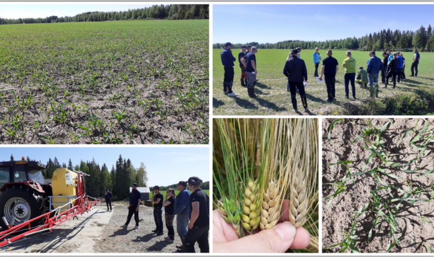 Biotiitin käyttö: Tehosta kauneutta ja hyvinvointia tehokkaasti!
