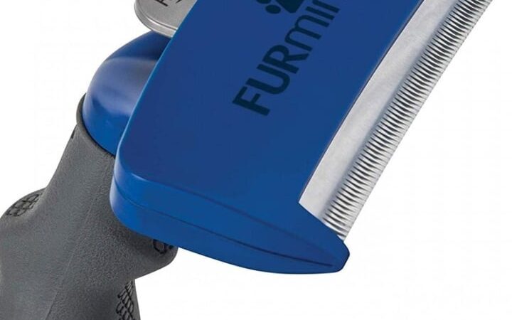 Furminator käyttö: Tehokas tapa hoitaa lemmikkisi karvaa!