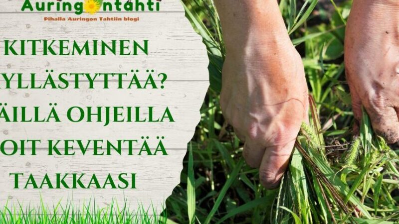Juurimaton käyttö: Tehokkaat vinkit ja sovellukset eri aloilla