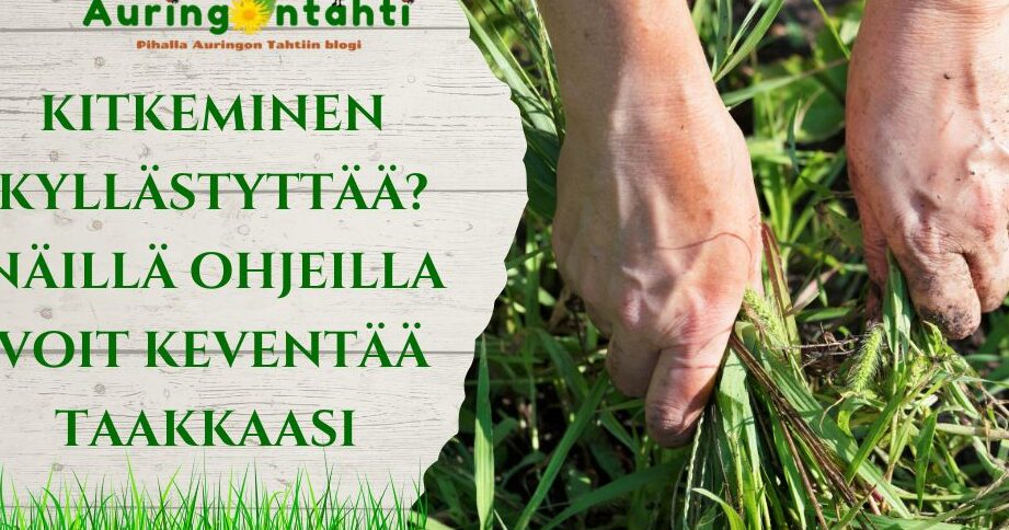 Juurimaton käyttö: Tehokkaat vinkit ja sovellukset eri aloilla