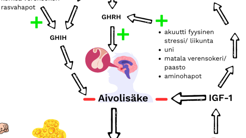 Kasvuhormoni käyttö: Tehosta liikuntaasi ja terveyttäsi!