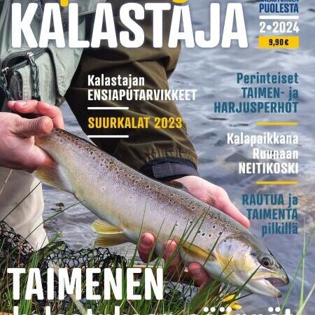 Kolmioliinan käyttö: Tehokkaat vinkit ja parhaat käytännöt