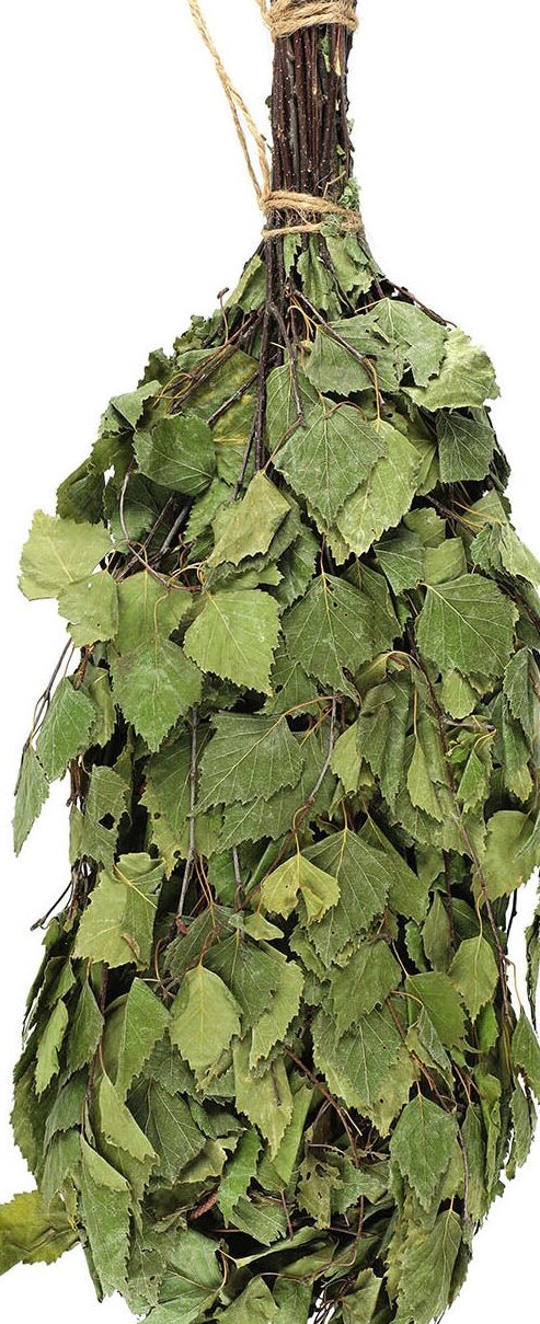 Kuivattu vihta käyttö: Hyödynnä monipuoliset mahdollisuudet!