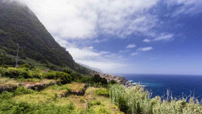 Madeira viini käyttö: Tehokkaat vinkit ja parhaat käytöt!