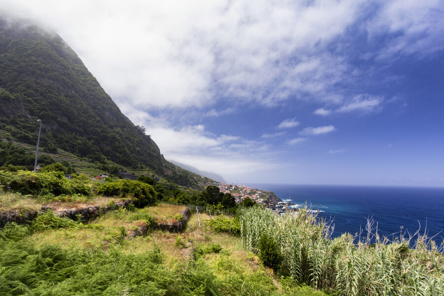 Madeira viini käyttö: Tehokkaat vinkit ja parhaat käytöt!