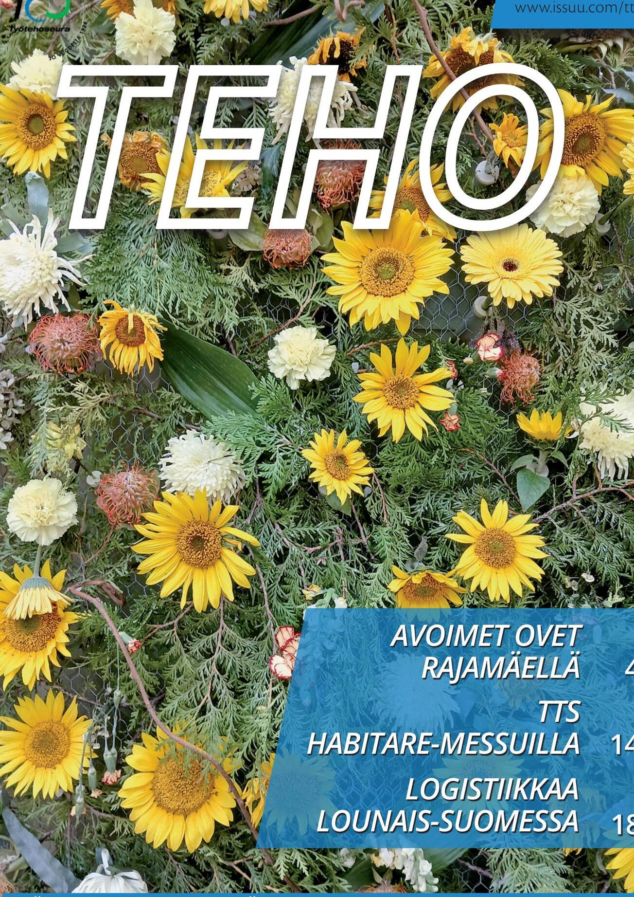 Palsamipoppeli käyttö: Tehosta hyvinvointiasi luonnon avulla