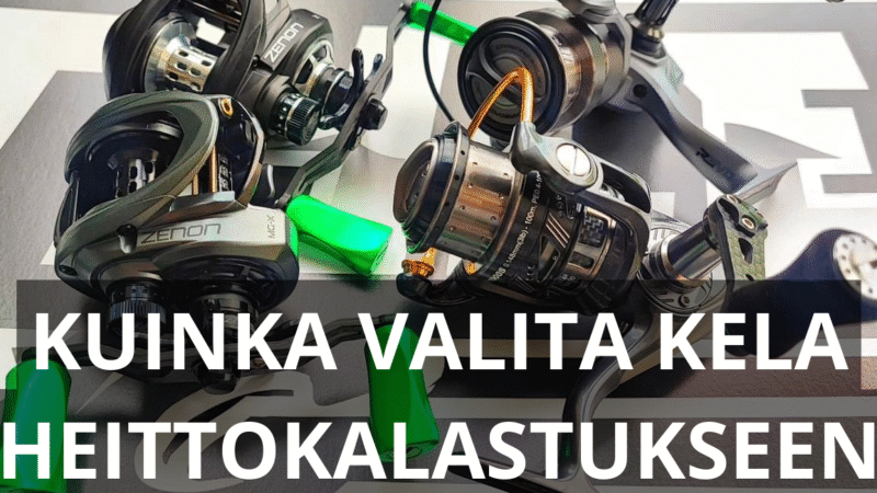 Pikku plaanarien käyttö: Tehokkaat vinkit ja parhaat sovellukset 6 Pikku plaanarien käyttö: Tehokkaat vinkit ja parhaat sovellukset