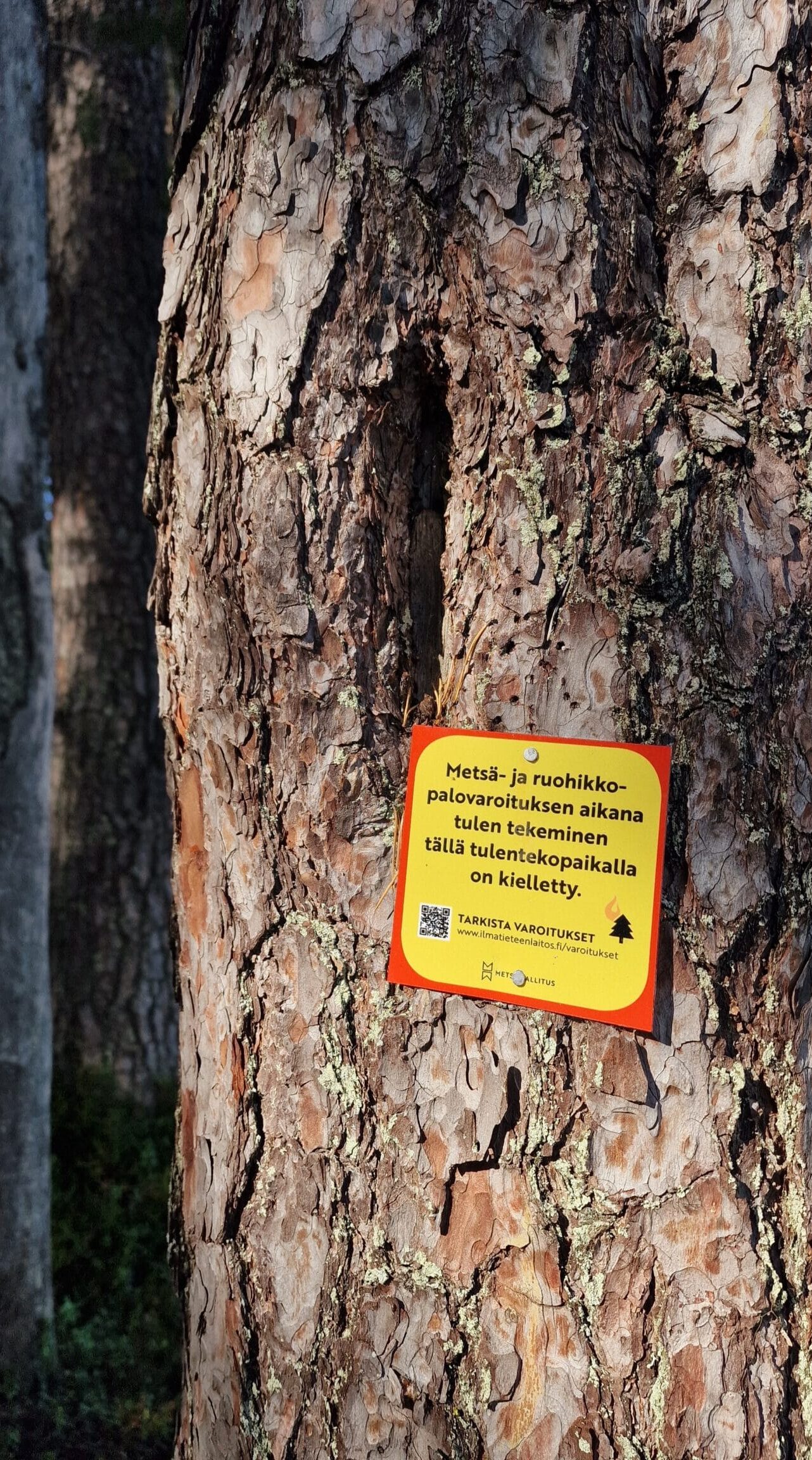 Retkikeittimen käyttö metsäpalovaroituksen aikana: Turvalliset vinkit