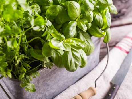 Saksankirveli käyttö: Vinkit ja sovellukset eri aloilla