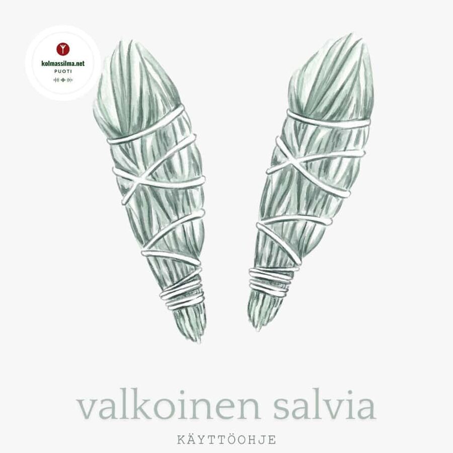 Salvian käyttö: Tehokkaat vinkit ja sovellukset eri aloilla