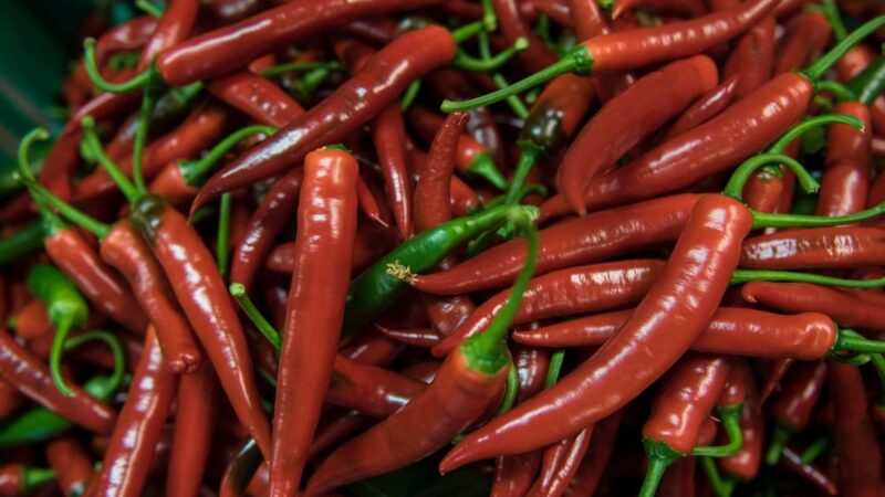 Saronki käyttö: Tehokkaat vinkit ja sovellukset eri aloilla