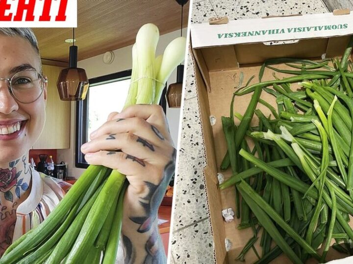 Sipulin varret käyttö: Parhaat vinkit ja ideat ruoanlaittoon