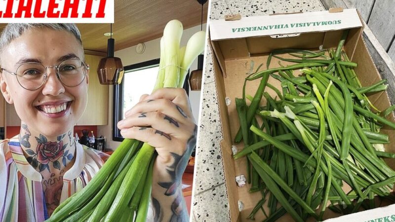 Sipulin varret käyttö: Parhaat vinkit ja ideat ruoanlaittoon