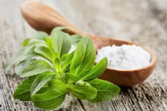 Stevia kasvin käyttö: Tehosta makua ja terveyttä luonnollisesti!