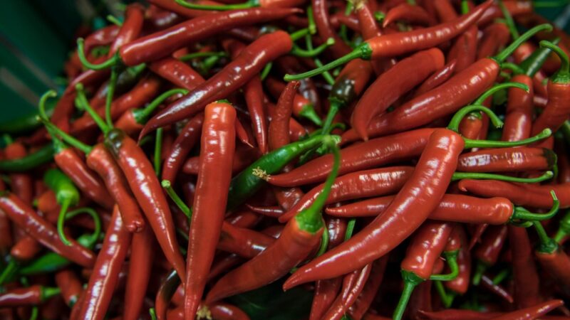 Tuore jalapeno käyttö: Vinkkejä herkullisiin ruokiin!