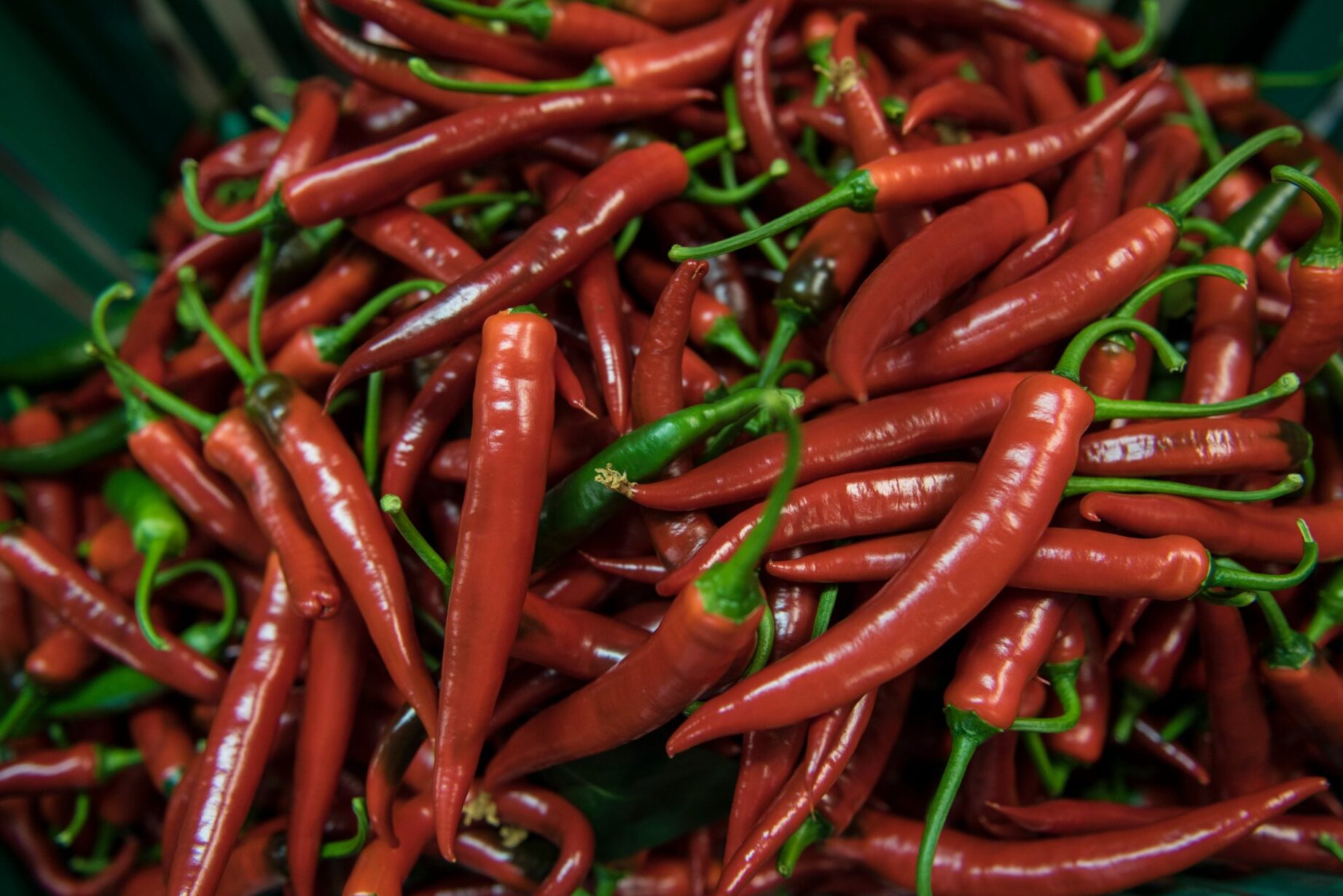 Tuore jalapeno käyttö: Vinkkejä herkullisiin ruokiin!
