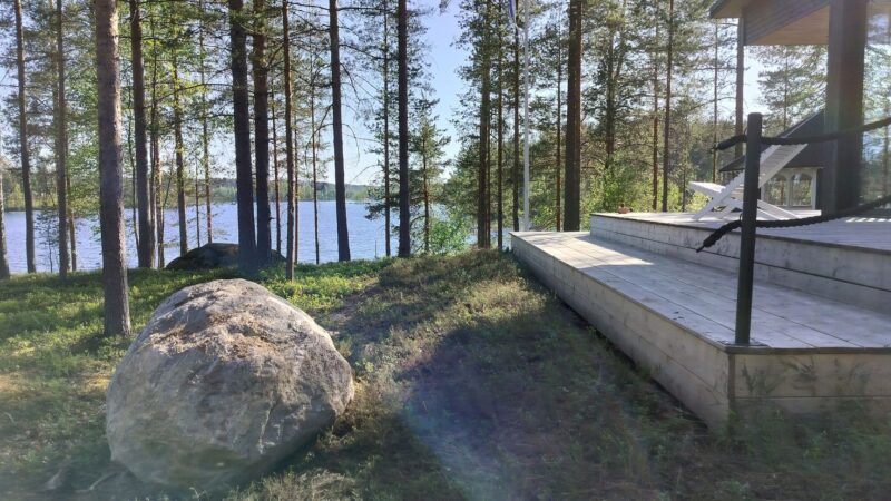Variksenmarjan käyttö: Hyödyt ja sovellukset eri aloilla