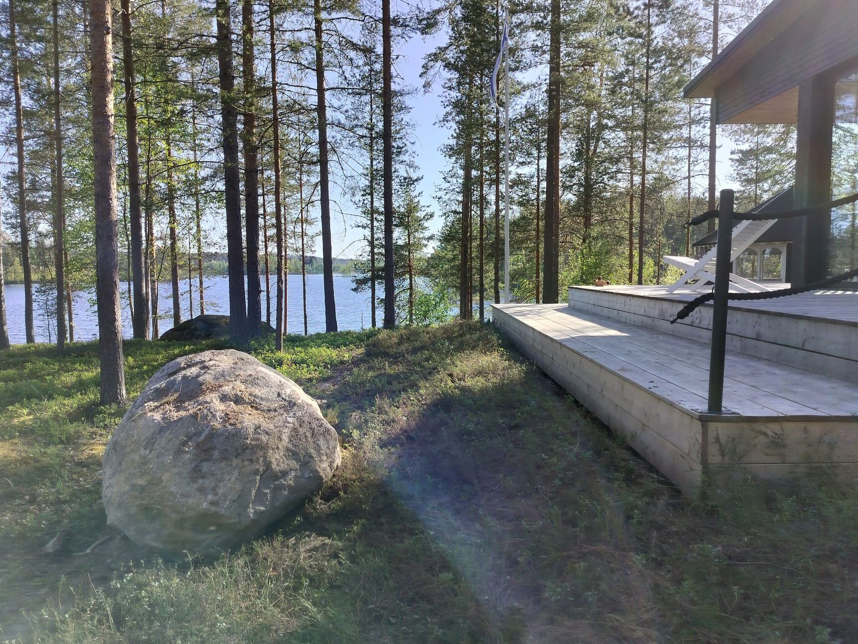 Variksenmarjan käyttö: Hyödyt ja sovellukset eri aloilla
